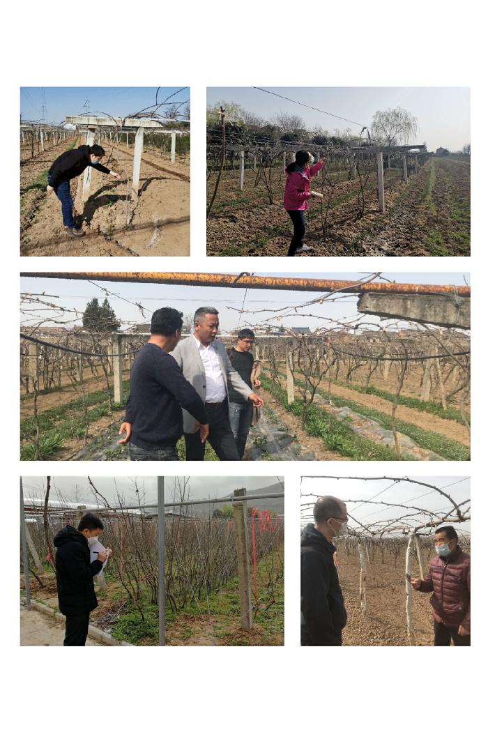 学校8位老师选聘为西安市农业科技特派员开展科技下乡服务