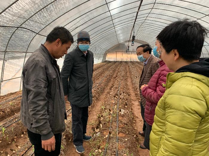 党委书记问向荣赴蓝田县冯家村扶贫调研并慰问驻村干部